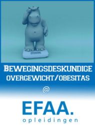 EFAA-Bewegingsdeskundige-overgewicht-obesitas-380x500